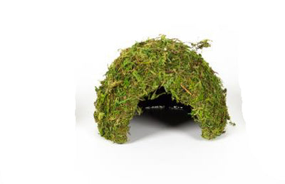 DOME MOUSSE NATURELLE 17x17x12cm REPTIZOO