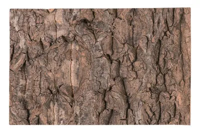 NATURAL CORK TILE BACKGROUND 20x15cm REPTIZOO