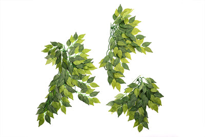 BANYAN LEAVES  50cm REPTIZOO