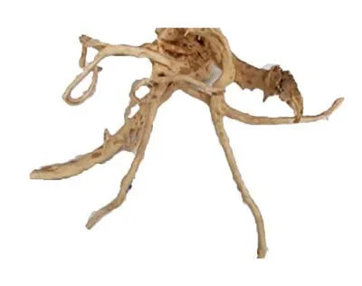 RACINE POLISHED DRIFTWOOD 45 à 58cm 1p SCALARE