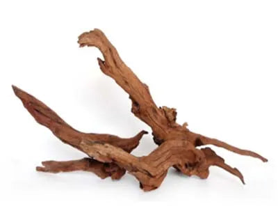 RACINE TEAK WOOD POLISHED 40 à 60cm 1p SCALARE