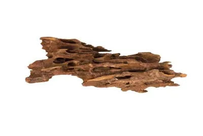 RACINE SHRIMP WOOD 15 à 25cm 1p SCALARE