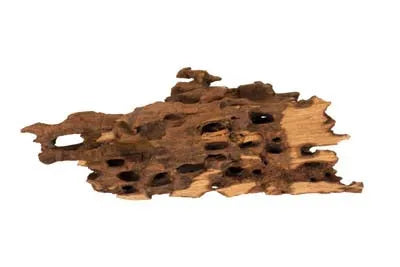 RACINE SHRIMP WOOD 28 à 42cm 1p SCALARE