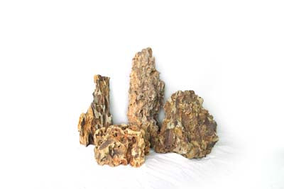 Bamboo Rock  0.4-1kg SCALARE