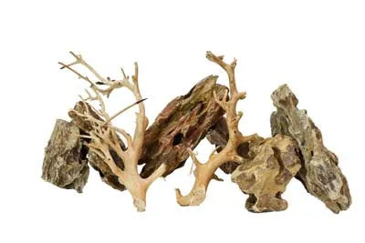 ROCHES + RACINES ALVEOLATE ROCK (4/6pc - 2pc)  SCALARE