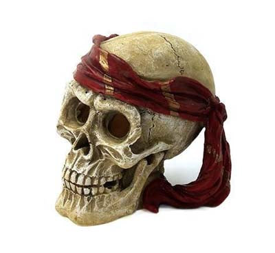 Crâne 15x12.5x14.5cm SCALARE