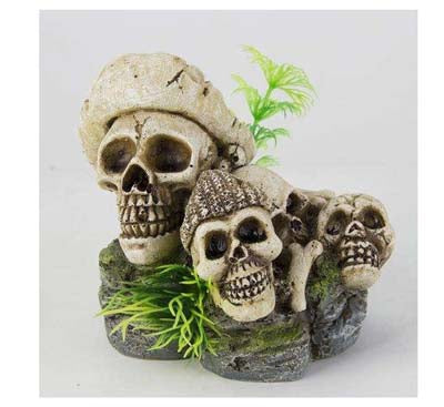 Crânes 11x9.5x9.2cm SCALARE