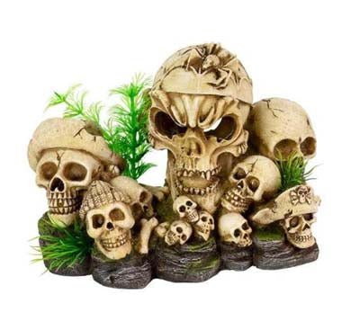 Crânes 19x11.5x14cm SCALARE