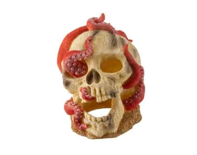 Pieuvre 15.7x13.2x17cm SCALARE