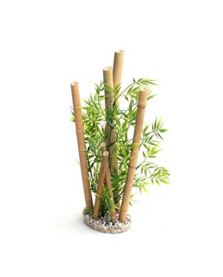 BAMBOO XL PLANTS H:38cm SCALARE