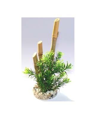 BAMBOO FOREST PLANTS H:20cm SCALARE