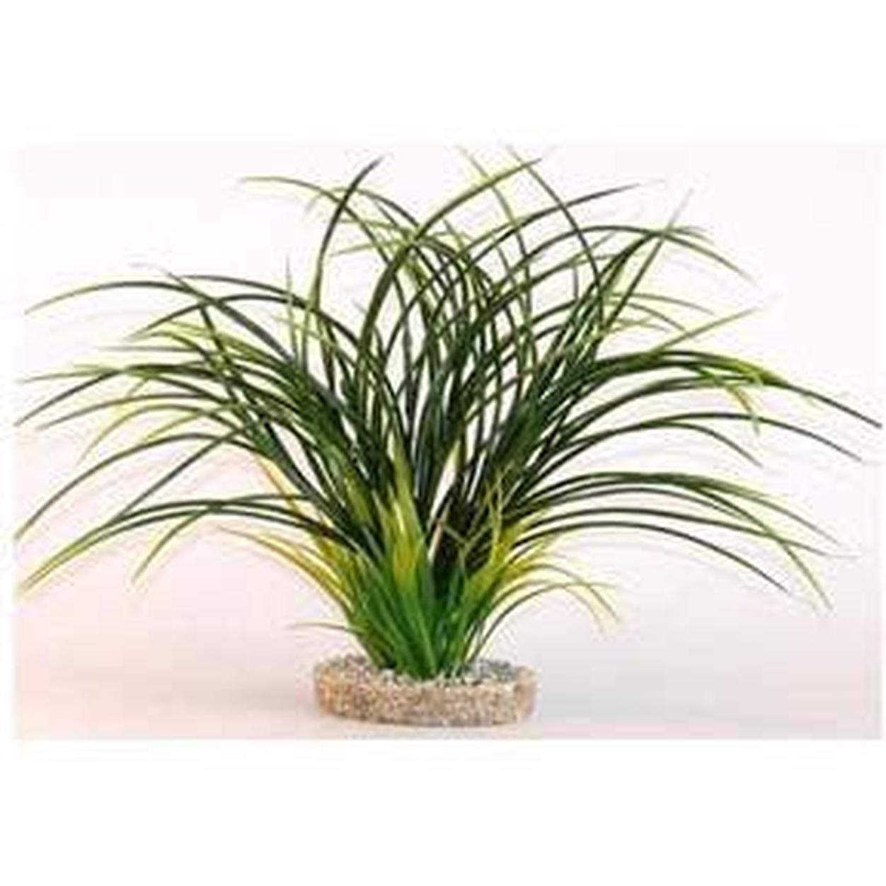 FAN GRASS H:30cm SCALARE