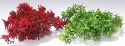 TROPICAL MOSS H:8cm SCALARE