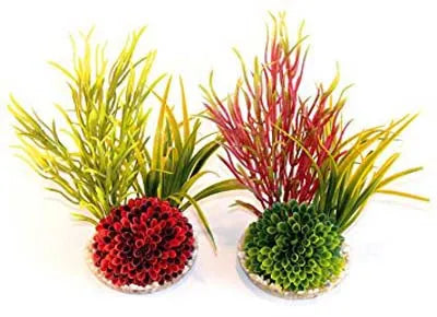 ISLET PLANT H:20cm SCALARE