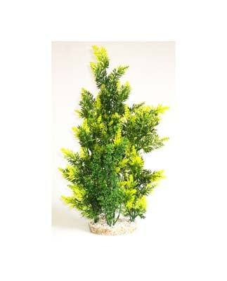 AQUAPLANT GIANT  H:46cm SCALARE