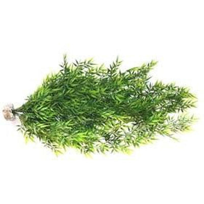 CHUTE BAMBOO FLEXIBLE MAXI H:70cm SCALARE