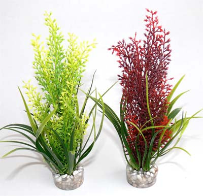 TROPICA  H:20cm SCALARE