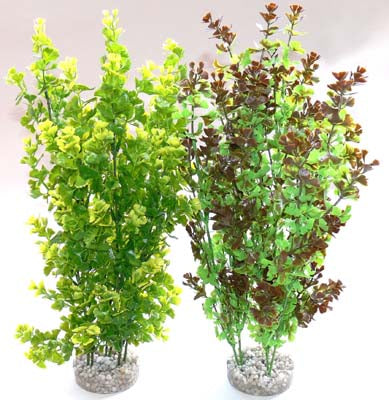 BUTTERFLY XL  H:36cm SCALARE