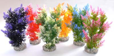 FIESTA BUSH H:22cm SCALARE