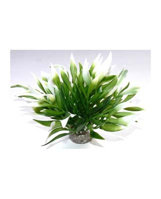 AQUATIC LEAVES H:12cm SCALARE