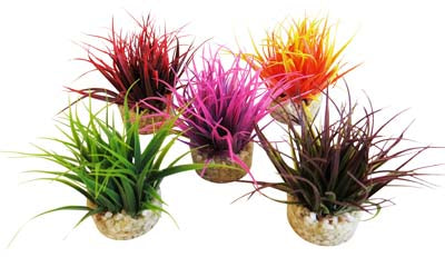 AQUA NANO MOSS H:8cm SCALARE