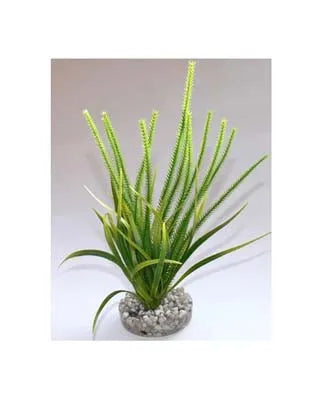 OCEAN LARGE H:21cm SCALARE