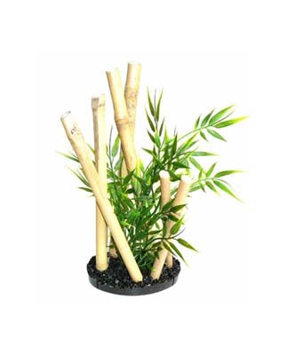 BAMBOO GARDEN BLACK STYLE H:24cm SCALARE