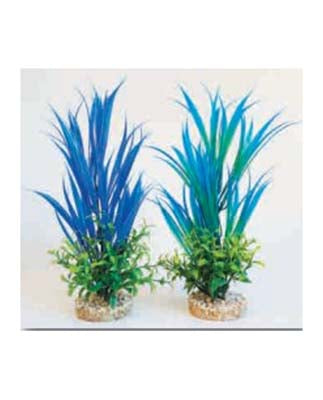 AQUA BLUE OCEAN  H:27cm SCALARE