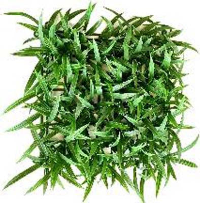 TERRA TAPIS HERBE 32cm SCALARE