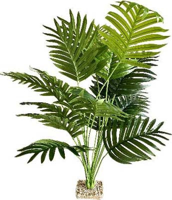 TERRA PALMIER 72cm SCALARE