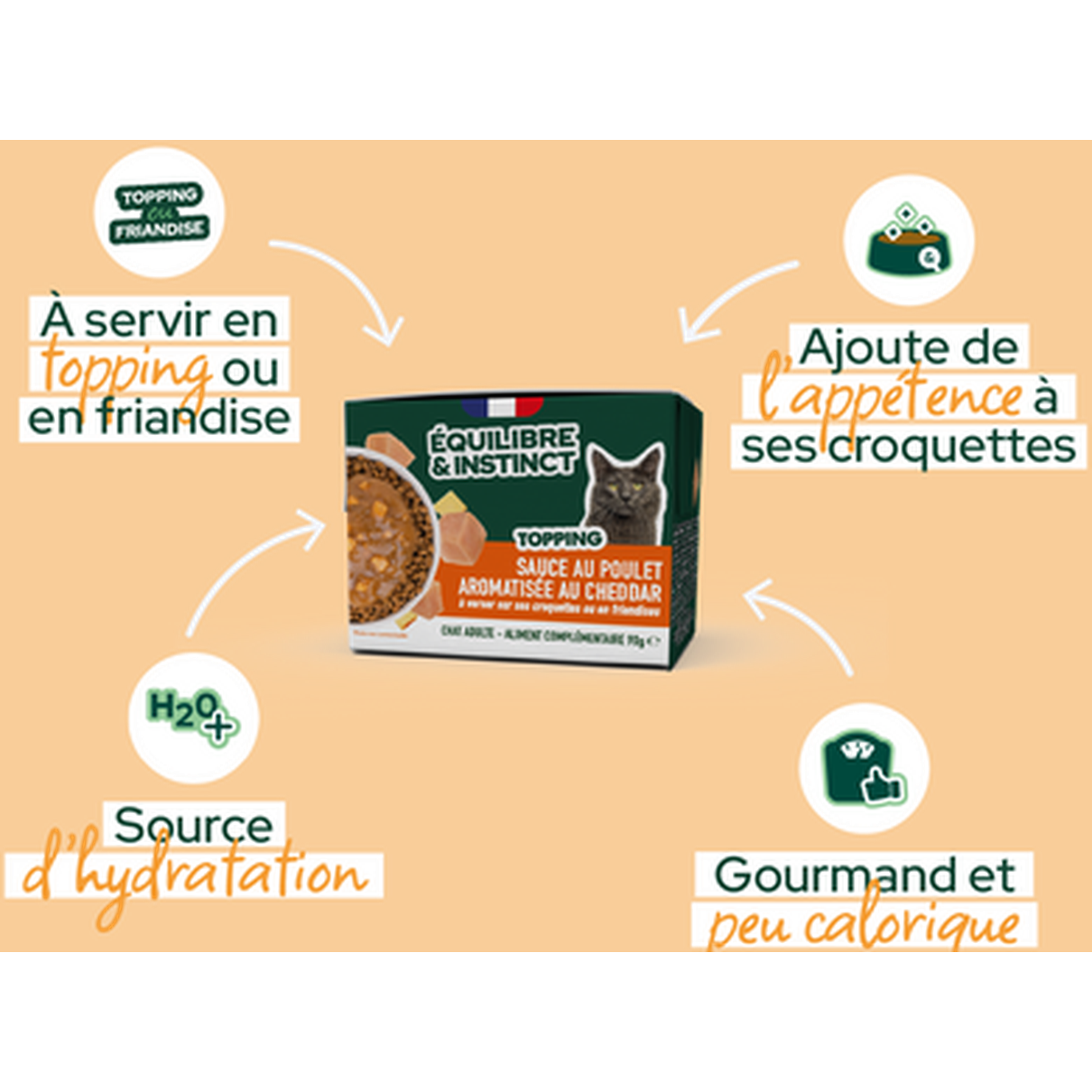 EQUILIBRE & INSTINCT Sauce au poulet aromatisée au cheddar pour chat adulte 90g