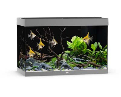 Aquarium RIO 290 LED (2x led 895mm) GRIS  JUWEL