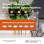 WELLNESS CORE Signature Selects Nourriture humide pour chat Thon Maquereau Crevettes 79g