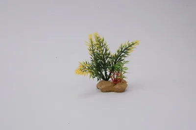 PLANT  H:10cm SCALARE---