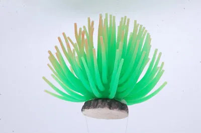 GREEN ANEMONE LG   40x40x50mm---