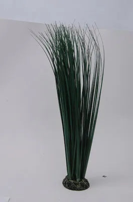 PLANT  H:46cm SCALARE---