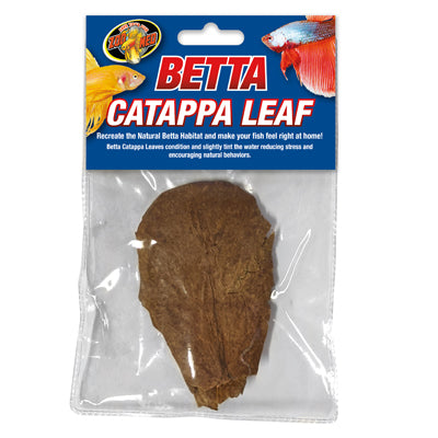 BETTA CATAPPA LEAF