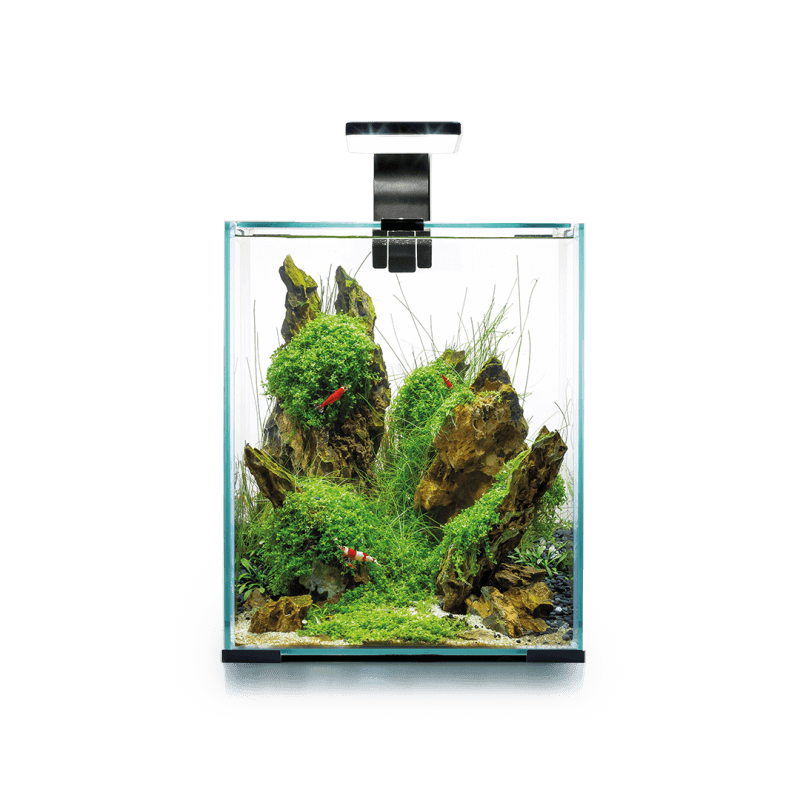 AQUAEL Aquarium Shrimp Set Smart Day & Night 10L Blanc