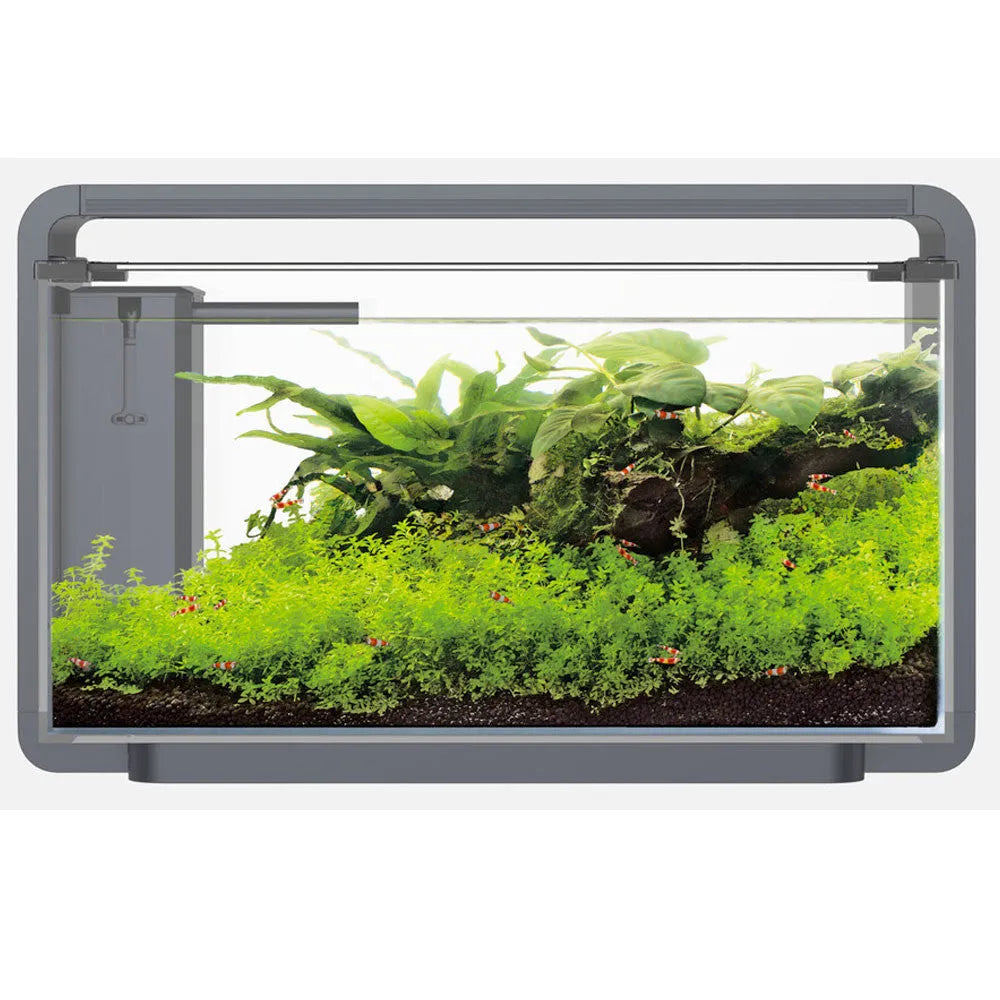 HOBBY-DOSHE AQUARISTIK Terrano Mousse Naturelle 100% Naturelle pour Terrarium 100g