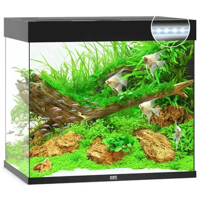 Aquarium LIDO 200 LED (2x led 590mm) NOIR  JUWEL