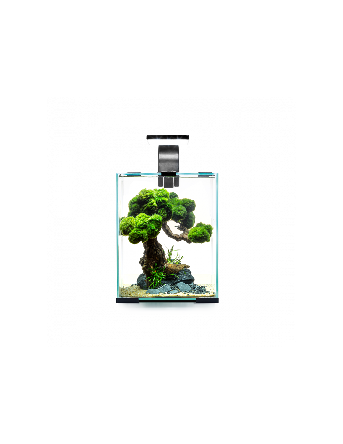 AQUAEL Aquarium ShrimpSet Smart D&N 30 Noir 30L