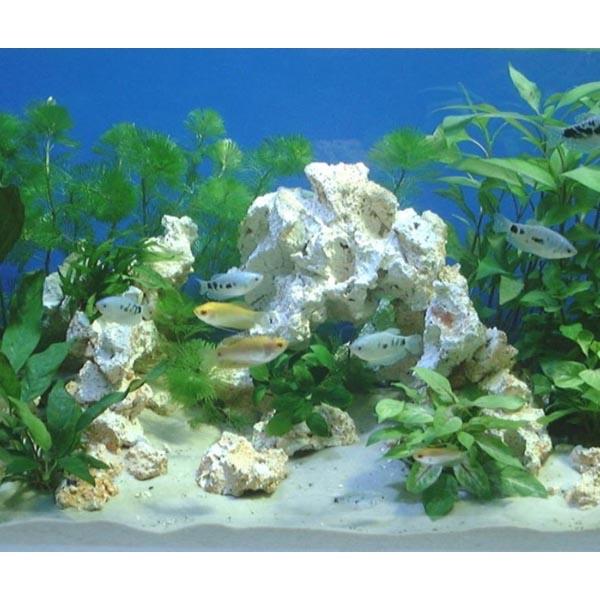 ARKA BIOTECHNOLOGIE Roche céramique Column Natur 20cm pour aquarium récifal