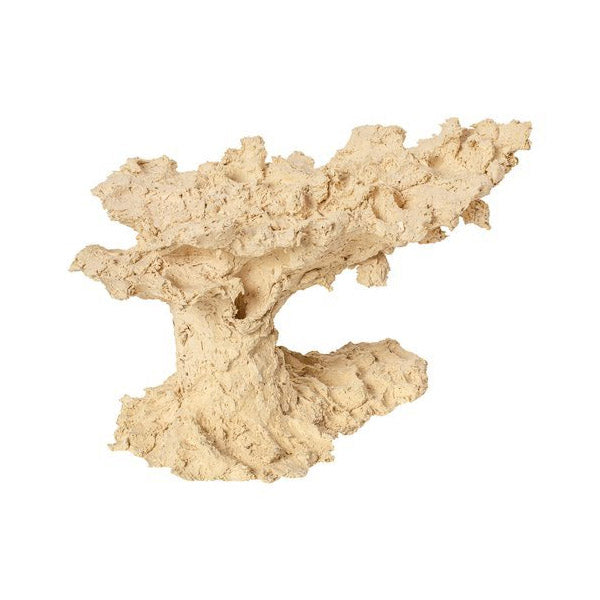 ARKA BIOTECHNOLOGIE Roche céramique Cave 2 Holes 10cm