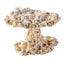 ARKA BIOTECHNOLOGIE Roche céramique Mushroom 20cm pour aquarium marin