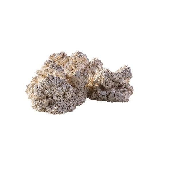 ARKA BIOTECHNOLOGIE Roche céramique Black Plane Puzzle 30cm