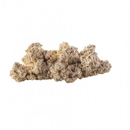 ARKA BIOTECHNOLOGIE Roche céramique Reef Plateau 20x10cm