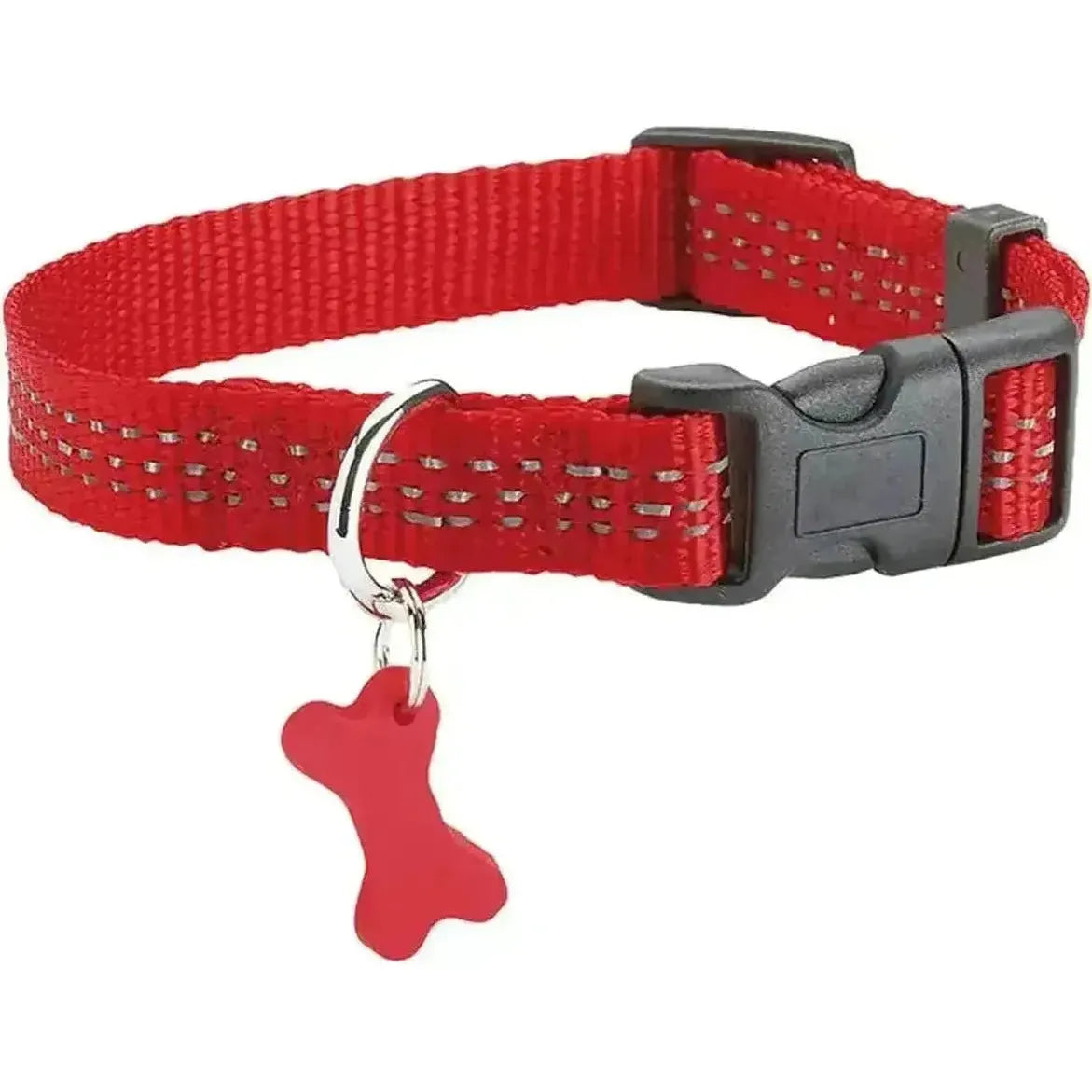 Collier Safe pour chien