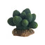 HOBBY-DOSHE AQUARISTIK Cactus Atacama 7cm Décoration Artificielle pour Terrarium