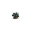 HOBBY-DOSHE AQUARISTIK Cactus Atacama 7cm Décoration Artificielle pour Terrarium