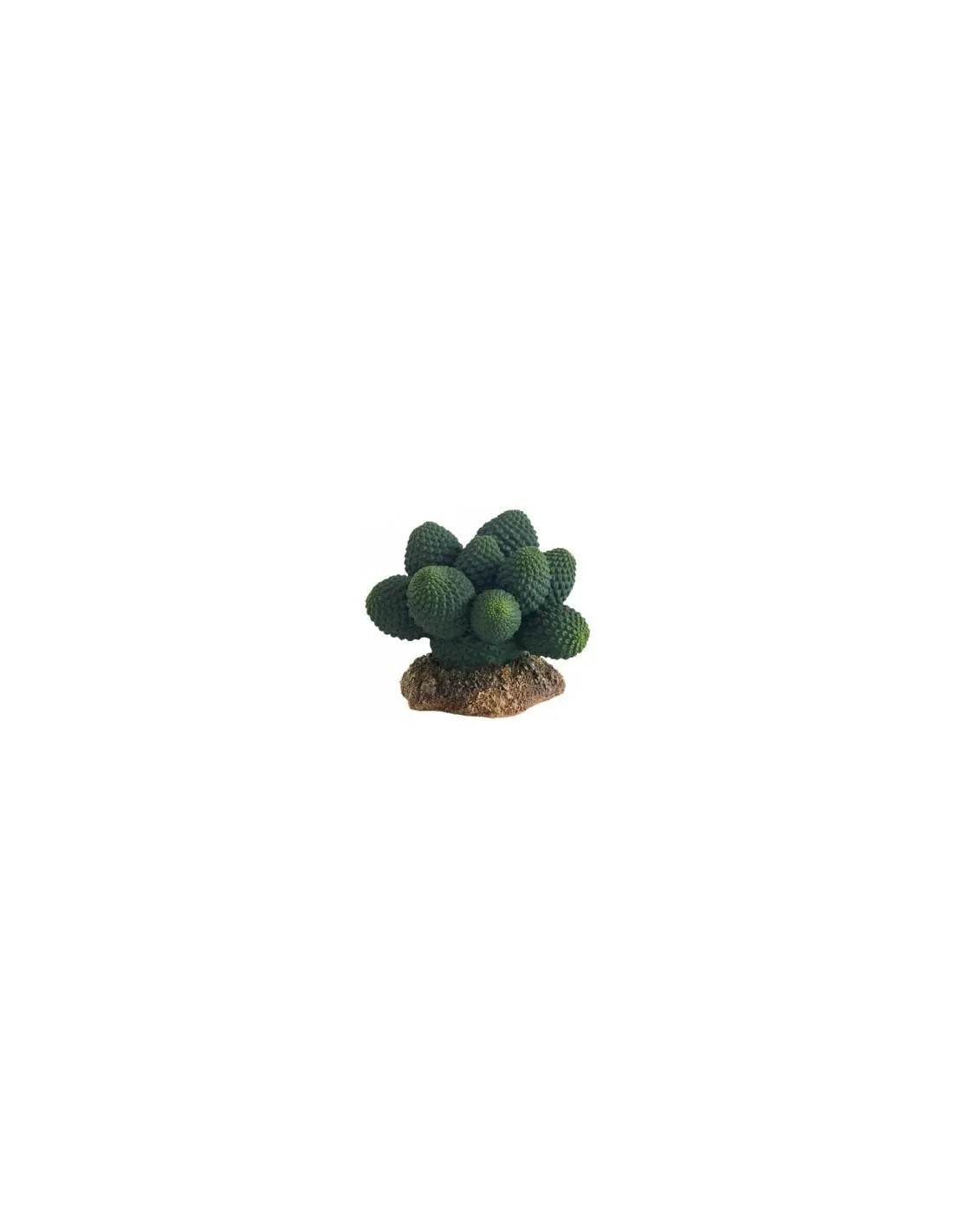 HOBBY-DOSHE AQUARISTIK Cactus Atacama 7cm Décoration Artificielle pour Terrarium